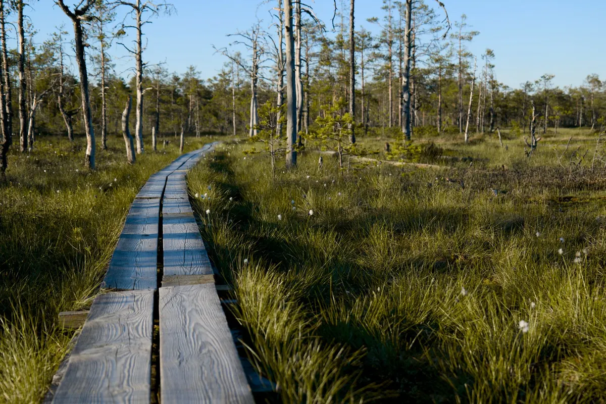 A Checklist for Your First Visit to a UK Nature Reserve