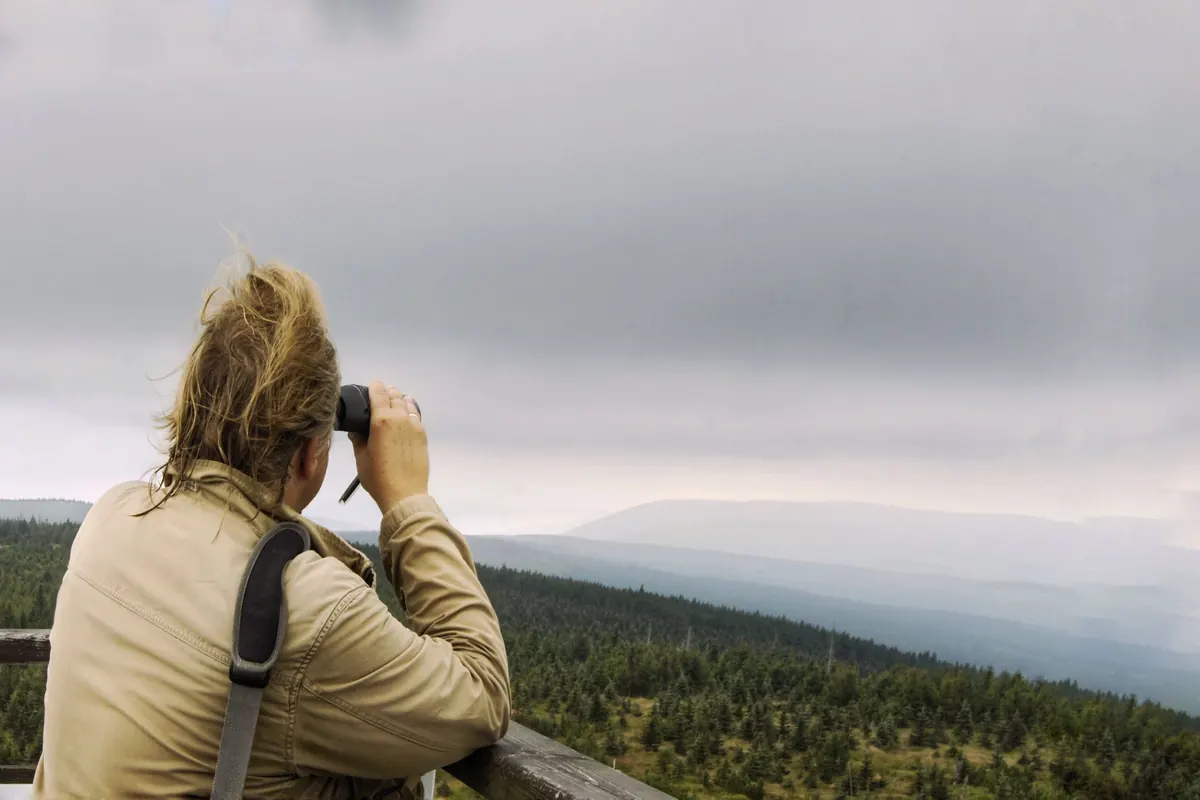 How to Start Birdwatching in the UK: A Beginner's Guide to Kit, Etiquette and First Trips